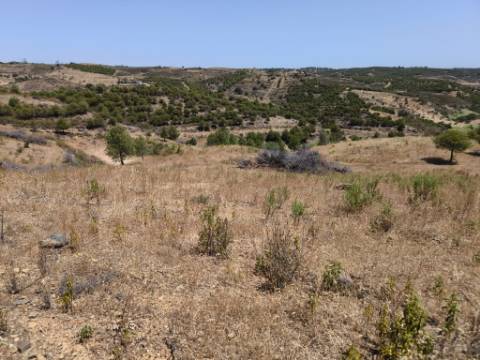 TERRENO COM 73700 M2 - COM LAGO PRÓPRIO - MUITAS ÁRVORES - POSSIBILIDADE DE CONSTRUÇÃO DE HABITAÇÃO E OU TURISMO RURAL - PRÓXIMO AO PIÇARRAL - AZINHAL - CASTRO MARIM - ALGARVE