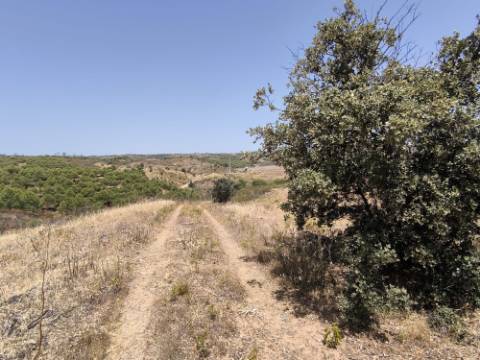 TERRENO COM 73700 M2 - COM LAGO PRÓPRIO - MUITAS ÁRVORES - POSSIBILIDADE DE CONSTRUÇÃO DE HABITAÇÃO E OU TURISMO RURAL - PRÓXIMO AO PIÇARRAL - AZINHAL - CASTRO MARIM - ALGARVE
