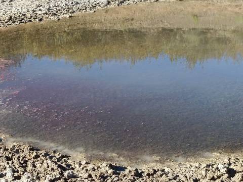 TERRENO COM 74.680 M2 - COM LAGO - POSSIBILIDADE DE CONSTRUÇÃO - TURISMO E HABITAÇÃO - PRÓXIMO A ALCARIA QUEIMADA - MONTE DAS PREGUIÇAS EM VAQUEIROS - ALCOUTIM