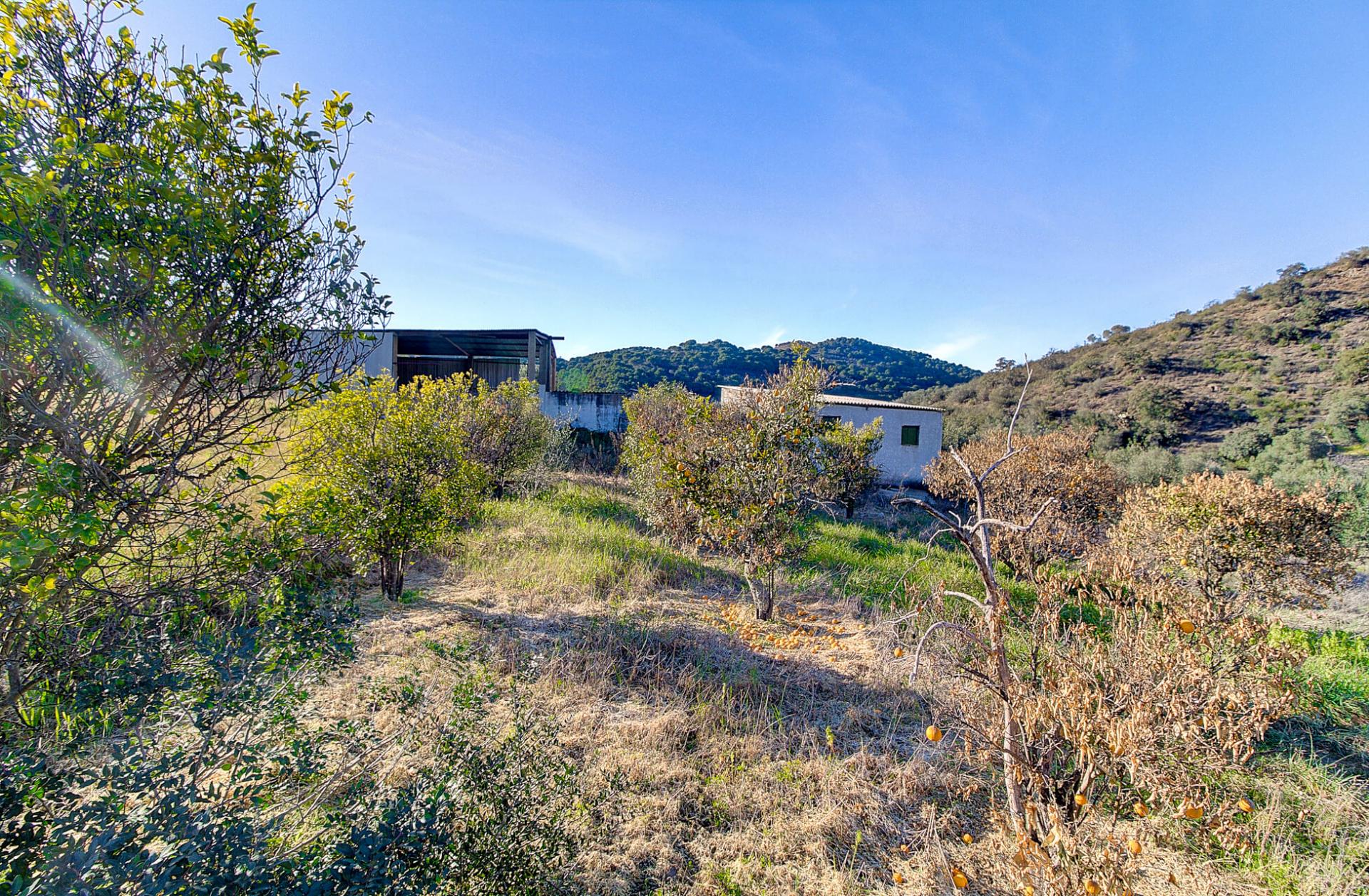 TERRENO RUSTICO COM 1.680 M2 EM FORTES - ODELEITE - CASTRO MARIM - ALGARVE
