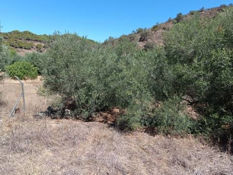 TERRENO RUSTICO COM 1.680 M2 EM FORTES - ODELEITE - CASTRO MARIM - ALGARVE