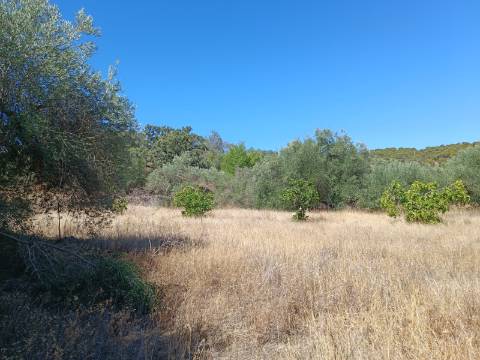 TERRENO RUSTICO COM 1.680 M2 EM FORTES - ODELEITE - CASTRO MARIM - ALGARVE