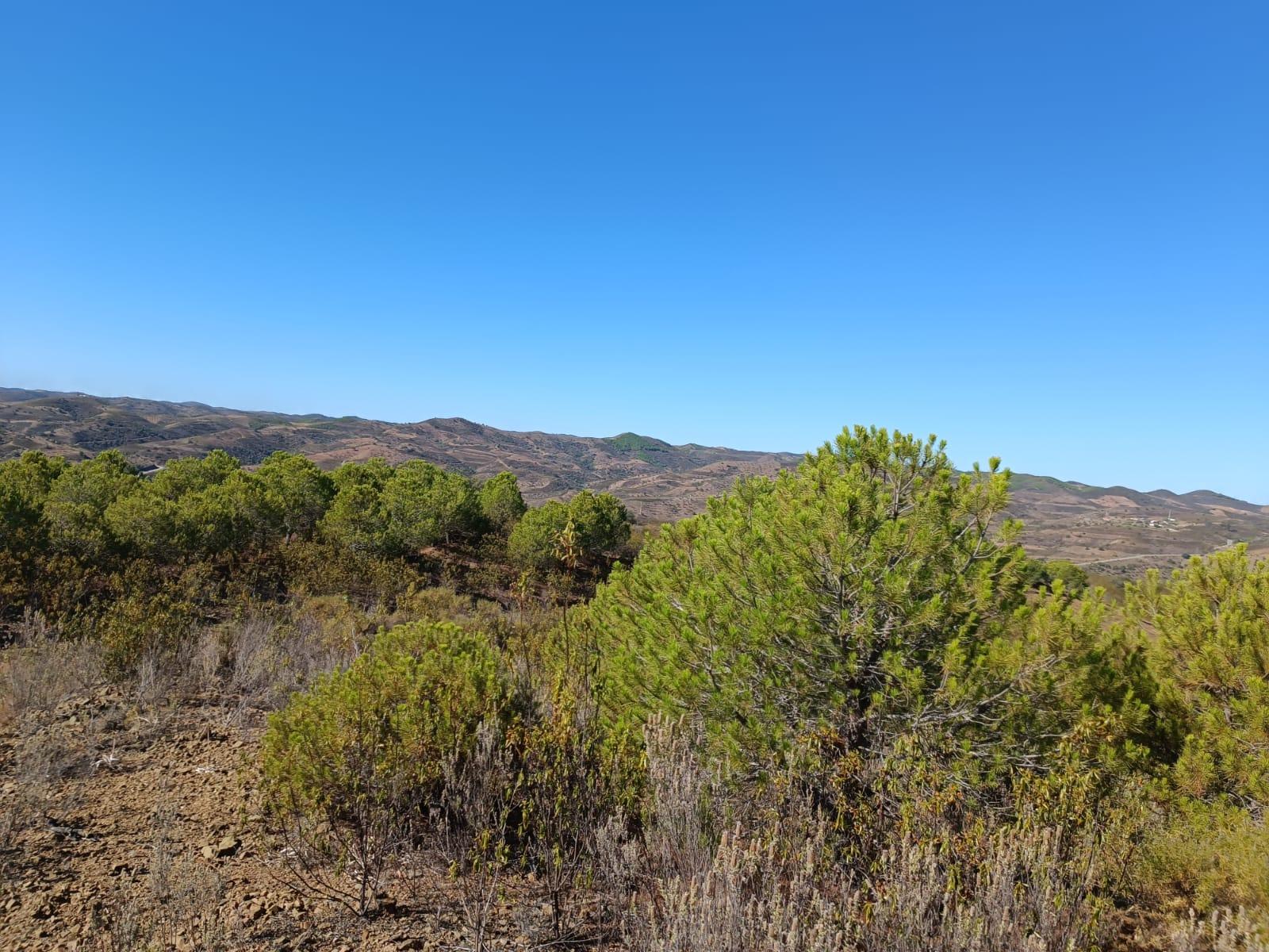 TERRENO COM 137.480 M2 - POSSIBILIDADE DE CONSTRUÇÃO RESIDENCIAL E TURISMO EM GALAXES - VAQUEIROS - ALCOUTIM