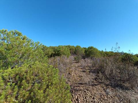 TERRENO COM 137.480 M2 - POSSIBILIDADE DE CONSTRUÇÃO RESIDENCIAL E TURISMO EM GALAXES - VAQUEIROS - ALCOUTIM