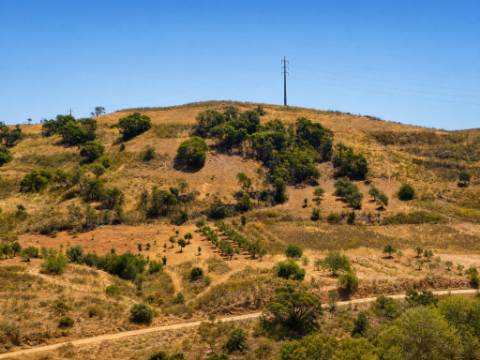 Terreno com ruina para construção de uma moradia T3, curral doa Boieiros, Tavira
