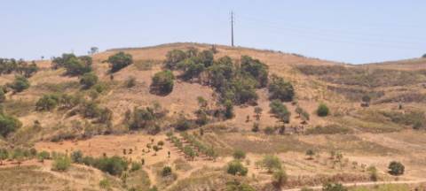 Terreno com ruina para construção de uma moradia T3, curral doa Boieiros, Tavira