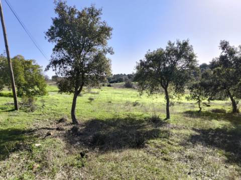 TERRENO RUSTICO COM 3080 M2 - PLANO COM MUITOS SOBREIROS - ASFALTO - PROXIMO AO VALE DO PEREIRO EM ODELEITE - CASTRO MARIM - ALGARVE