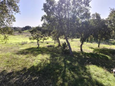 TERRENO RUSTICO COM 3080 M2 - PLANO COM MUITOS SOBREIROS - ASFALTO - PROXIMO AO VALE DO PEREIRO EM ODELEITE - CASTRO MARIM - ALGARVE