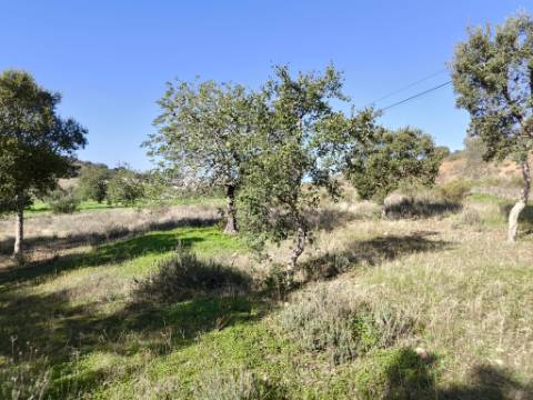 TERRENO RUSTICO COM 3080 M2 - PLANO COM MUITOS SOBREIROS - ASFALTO - PROXIMO AO VALE DO PEREIRO EM ODELEITE - CASTRO MARIM - ALGARVE