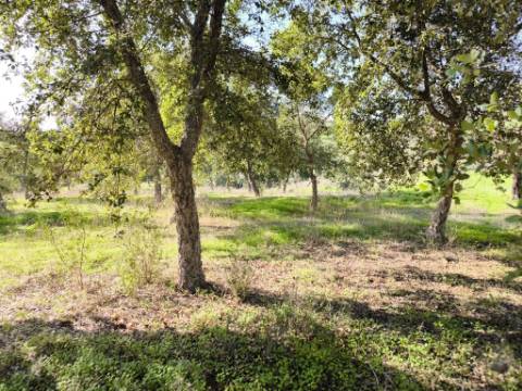 TERRENO RUSTICO COM 3080 M2 - PLANO COM MUITOS SOBREIROS - ASFALTO - PROXIMO AO VALE DO PEREIRO EM ODELEITE - CASTRO MARIM - ALGARVE