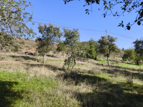 TERRENO RUSTICO COM 3080 M2 - PLANO COM MUITOS SOBREIROS - ASFALTO - PROXIMO AO VALE DO PEREIRO EM ODELEITE - CASTRO MARIM - ALGARVE