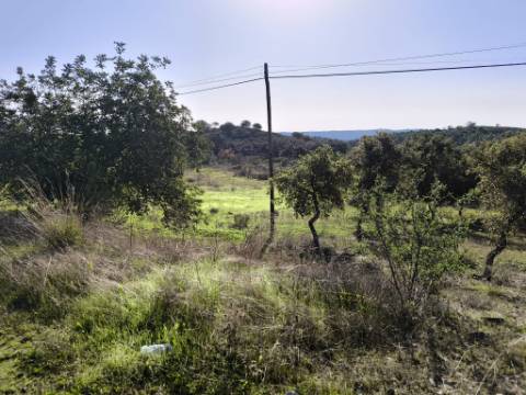 TERRENO RUSTICO COM 3080 M2 - PLANO COM MUITOS SOBREIROS - ASFALTO - PROXIMO AO VALE DO PEREIRO EM ODELEITE - CASTRO MARIM - ALGARVE