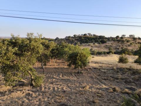 TERRENO RUSTICO COM 3080 M2 - PLANO COM MUITOS SOBREIROS - ASFALTO - PROXIMO AO VALE DO PEREIRO EM ODELEITE - CASTRO MARIM - ALGARVE