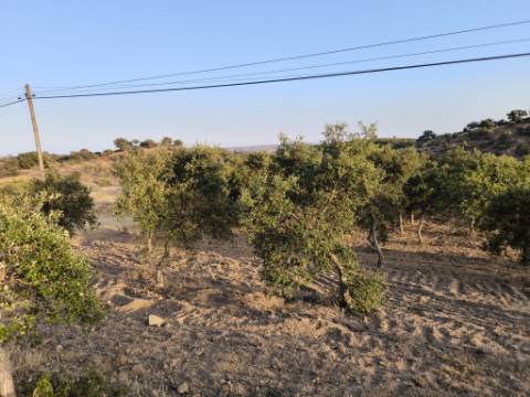TERRENO RUSTICO COM 3080 M2 - PLANO COM MUITOS SOBREIROS - ASFALTO - PROXIMO AO VALE DO PEREIRO EM ODELEITE - CASTRO MARIM - ALGARVE