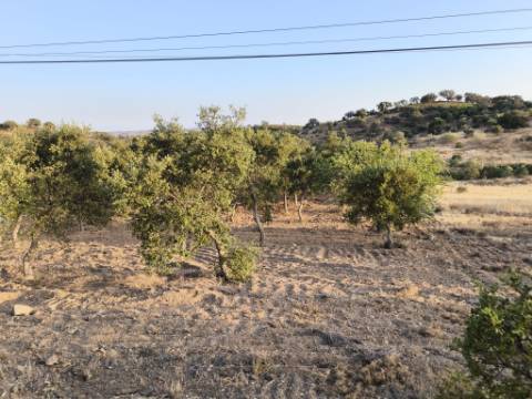 TERRENO RUSTICO COM 3080 M2 - PLANO COM MUITOS SOBREIROS - ASFALTO - PROXIMO AO VALE DO PEREIRO EM ODELEITE - CASTRO MARIM - ALGARVE