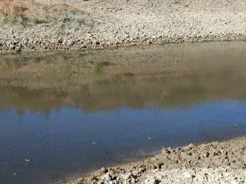 TERRENO COM 74.680 M2 - COM LAGO - POSSIBILIDADE DE CONSTRUÇÃO - TURISMO E HABITAÇÃO - PRÓXIMO A ALCARIA QUEIMADA - MONTE DAS PREGUIÇAS EM VAQUEIROS - ALCOUTIM