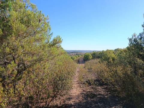 TERRENO COM 74.680 M2 - COM LAGO - POSSIBILIDADE DE CONSTRUÇÃO - TURISMO E HABITAÇÃO - PRÓXIMO A ALCARIA QUEIMADA - MONTE DAS PREGUIÇAS EM VAQUEIROS - ALCOUTIM