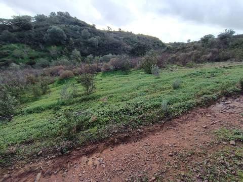 TERRENO COM 59.520 M2 - COM POSSIBILIDADE DE CONSTRUIR - MORADIA - TURISMO - BOTELHAS EM CASTRO MARIM - ALGARVE