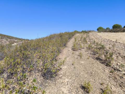 TERRENO RÚSTICO COM 20.080 M² - VISTA LAGO - COM POSSIBILIDADE DE CONSTRUÇÃO AGRÍCOLA - PRÓXIMO AO TANOEIRO - CASTRO MARIM - ALGARVE