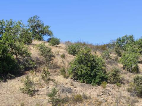 TERRENO RÚSTICO COM 20.080 M² - VISTA LAGO - COM POSSIBILIDADE DE CONSTRUÇÃO AGRÍCOLA - PRÓXIMO AO TANOEIRO - CASTRO MARIM - ALGARVE