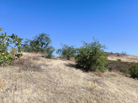 TERRENO RÚSTICO COM 20.080 M² - VISTA LAGO - COM POSSIBILIDADE DE CONSTRUÇÃO AGRÍCOLA - PRÓXIMO AO TANOEIRO - CASTRO MARIM - ALGARVE