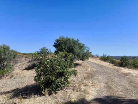 TERRENO RÚSTICO COM 20.080 M² - VISTA LAGO - COM POSSIBILIDADE DE CONSTRUÇÃO AGRÍCOLA - PRÓXIMO AO TANOEIRO - CASTRO MARIM - ALGARVE
