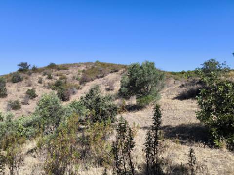 TERRENO RÚSTICO COM 20.080 M² - VISTA LAGO - COM POSSIBILIDADE DE CONSTRUÇÃO AGRÍCOLA - PRÓXIMO AO TANOEIRO - CASTRO MARIM - ALGARVE