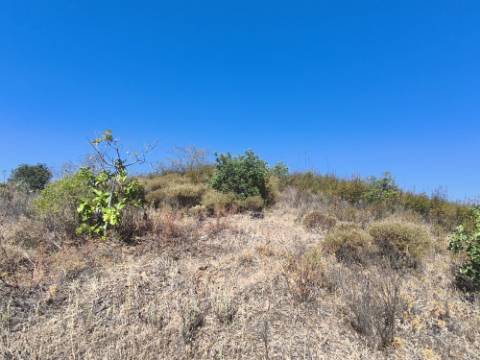 TERRENO RÚSTICO COM 20.080 M² - VISTA LAGO - COM POSSIBILIDADE DE CONSTRUÇÃO AGRÍCOLA - PRÓXIMO AO TANOEIRO - CASTRO MARIM - ALGARVE
