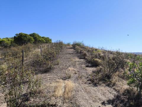 TERRENO RÚSTICO COM 20.080 M² - VISTA LAGO - COM POSSIBILIDADE DE CONSTRUÇÃO AGRÍCOLA - PRÓXIMO AO TANOEIRO - CASTRO MARIM - ALGARVE
