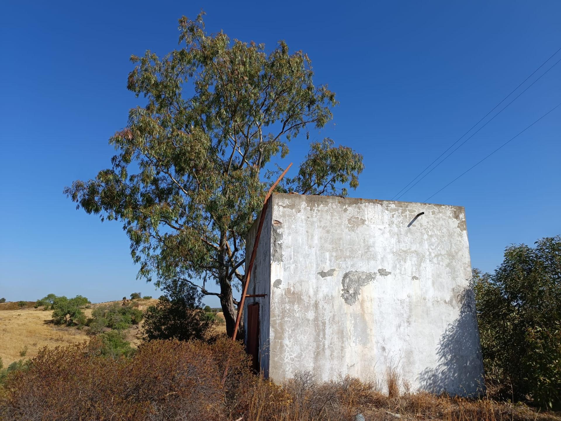 TERRENO COM ARMAZÉM - RUINA - NORA - FURO - COM 77.630 M2 - CONSTRUÇÃO DE MORADIA E TURISMO - MALHÃO - CASTRO MARIM - ALGARVE