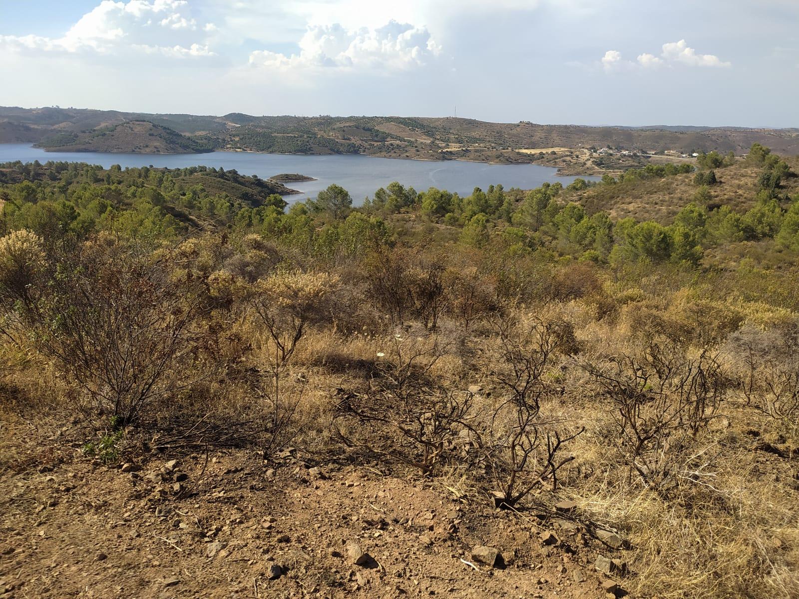 TERRENO RUSTICO COM 8640 m2 COM VISTA PARA BARRAGEM DE ODELEITE