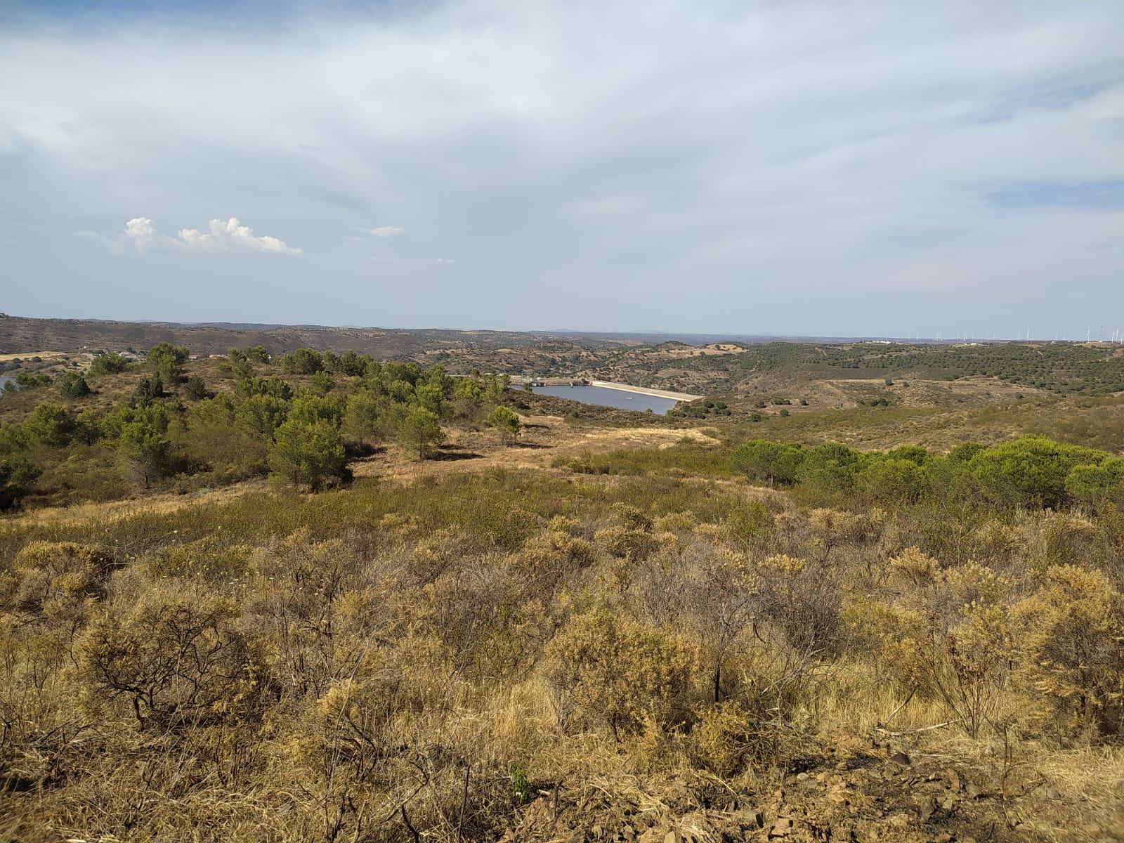 TERRENO RUSTICO COM 8640 m2 COM VISTA PARA BARRAGEM DE ODELEITE