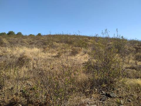 TERRENO RUSTICO COM 8640 m2 COM VISTA PARA BARRAGEM DE ODELEITE