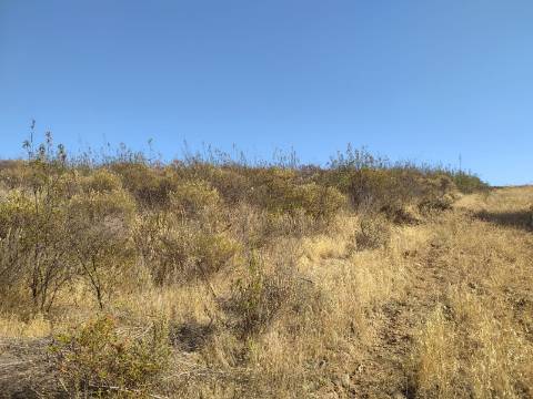 TERRENO RUSTICO COM 8640 m2 COM VISTA PARA BARRAGEM DE ODELEITE