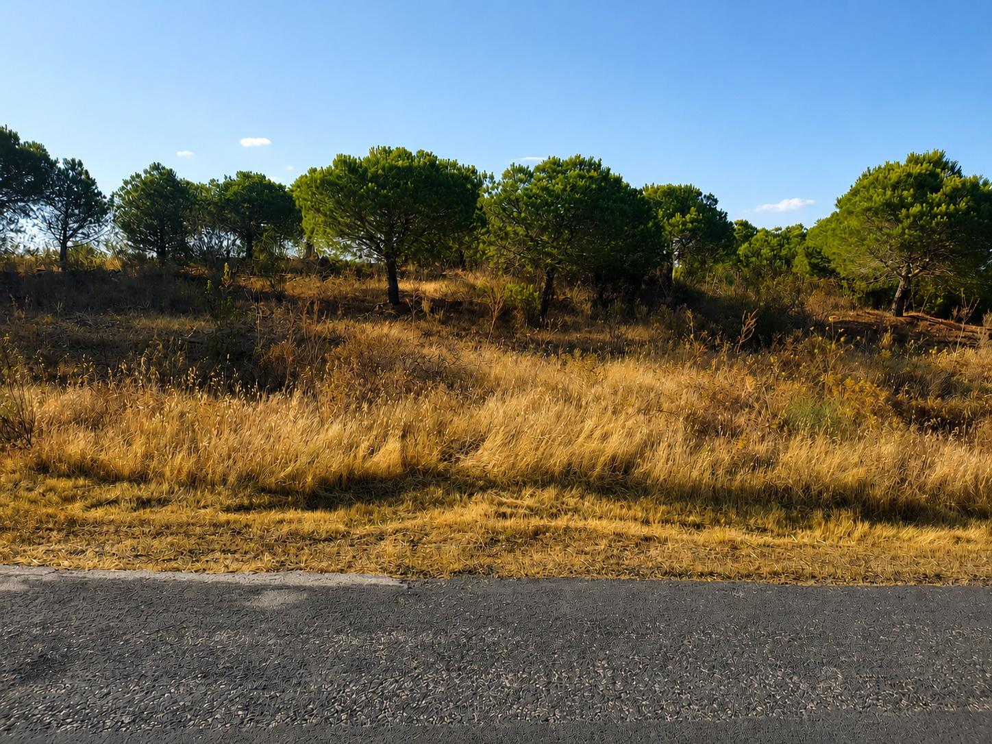 TERRENO RUSTICO COM 34 200m2 JUNTO A BARRAGEM DO ODELEITE