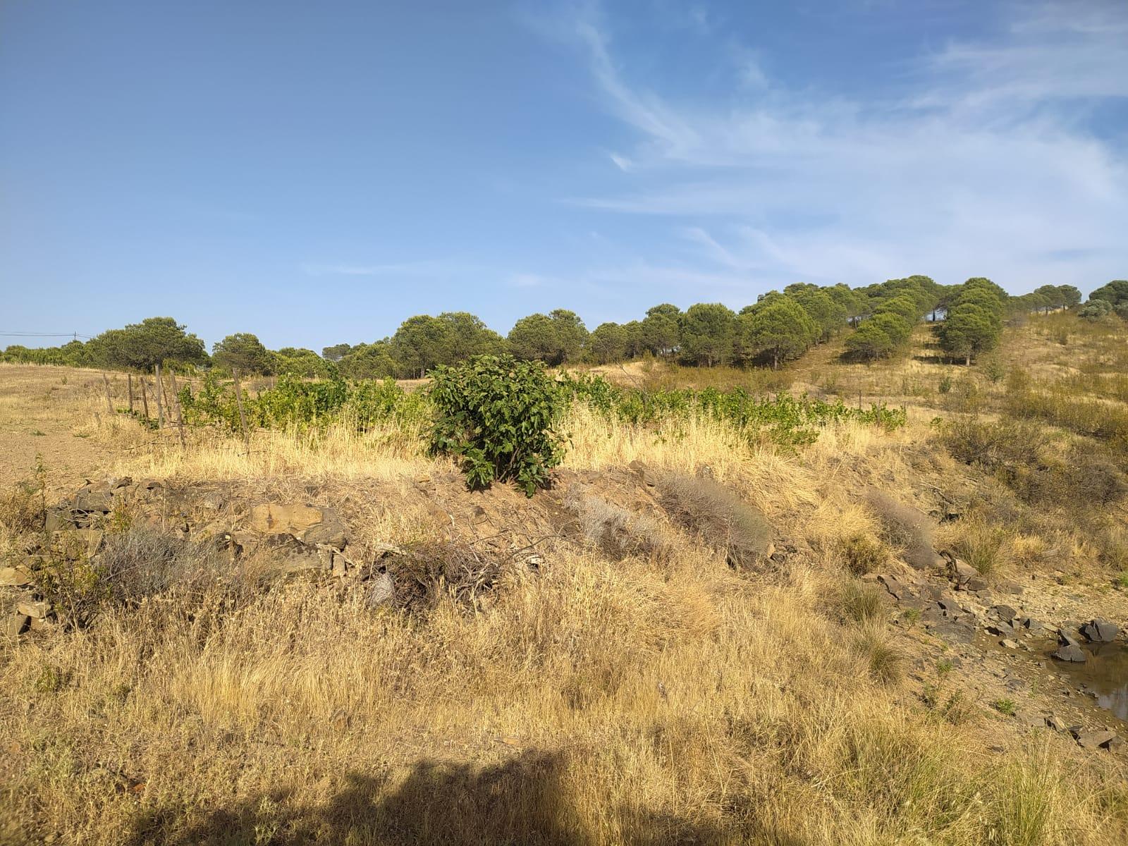 TERRENO RUSTICO COM 34 200m2 JUNTO A BARRAGEM DO ODELEITE