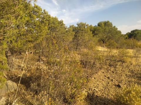 TERRENO RUSTICO COM 34 200m2 JUNTO A BARRAGEM DO ODELEITE