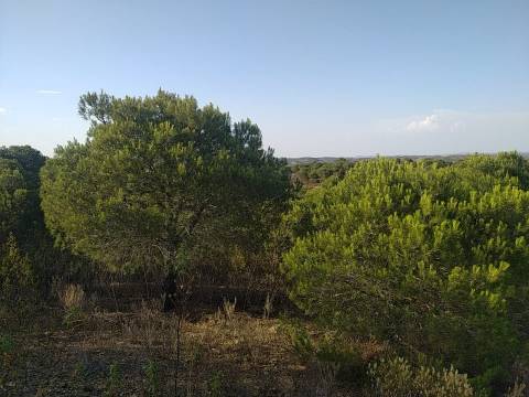 TERRENO RUSTICO COM 34 200m2 JUNTO A BARRAGEM DO ODELEITE