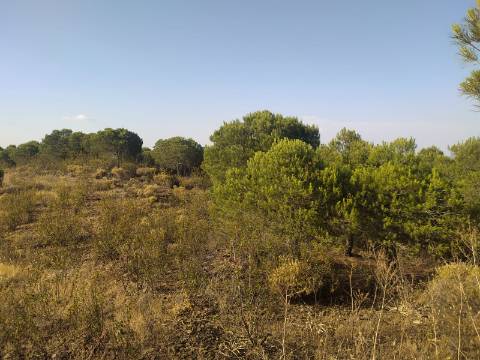 TERRENO RUSTICO COM 34 200m2 JUNTO A BARRAGEM DO ODELEITE