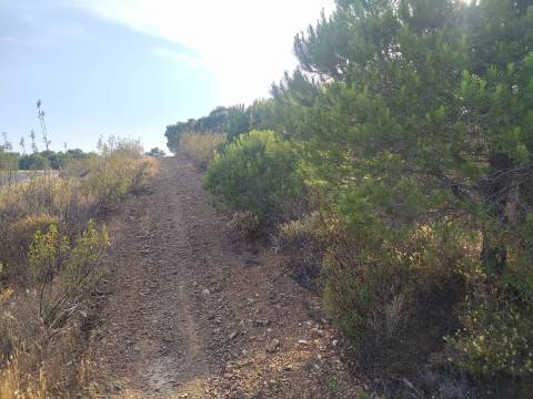TERRENO RUSTICO COM 34 200m2 JUNTO A BARRAGEM DO ODELEITE