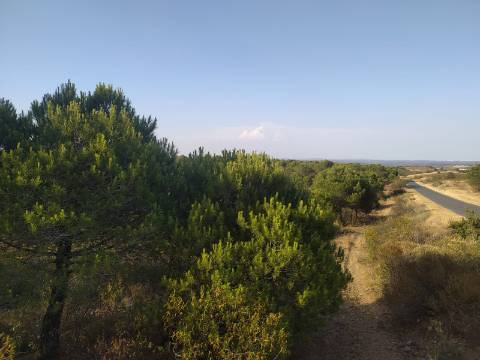 TERRENO RUSTICO COM 34 200m2 JUNTO A BARRAGEM DO ODELEITE