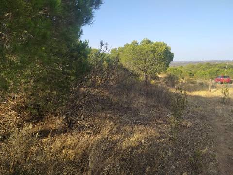 TERRENO RUSTICO COM 34 200m2 JUNTO A BARRAGEM DO ODELEITE