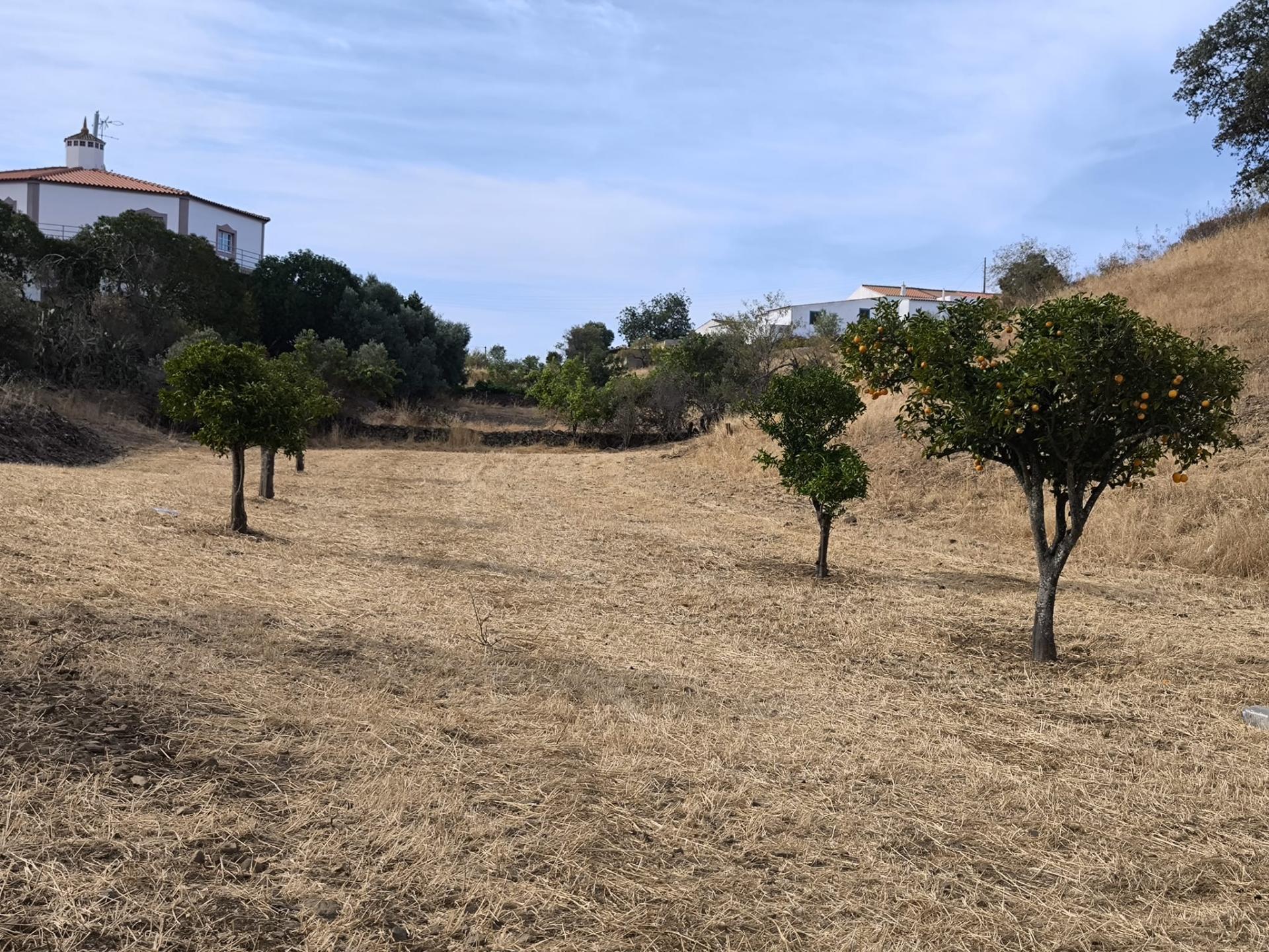TERRENO DE 4600 M2 -COM FURO - POÇO - AGUA DA REDE ELETRICIDADE - NO MONTE DA CORTE DO GAGO - EM AZINHAL - CASTRO MARIM - ALGARVE