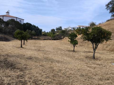 TERRENO DE 4600 M2 -COM FURO - POÇO - AGUA DA REDE ELETRICIDADE - NO MONTE DA CORTE DO GAGO - EM AZINHAL - CASTRO MARIM - ALGARVE