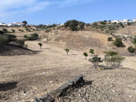 TERRENO DE 4600 M2 -COM FURO - POÇO - AGUA DA REDE ELETRICIDADE - NO MONTE DA CORTE DO GAGO - EM AZINHAL - CASTRO MARIM - ALGARVE
