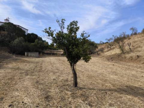 MORADIAS COM TERRENO DE 4600 M2 -COM FURO - POÇO - AGUA DA REDE ELETRICIDADE - NO MONTE DA CORTE DO GAGO - EM AZINHAL - CASTRO MARIM - ALGARVE