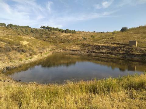 TERRENO RUSTICO COM 104440 m² E BARRAGEM