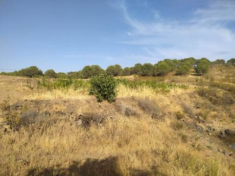 TERRENO RUSTICO COM 104440 m² E BARRAGEM