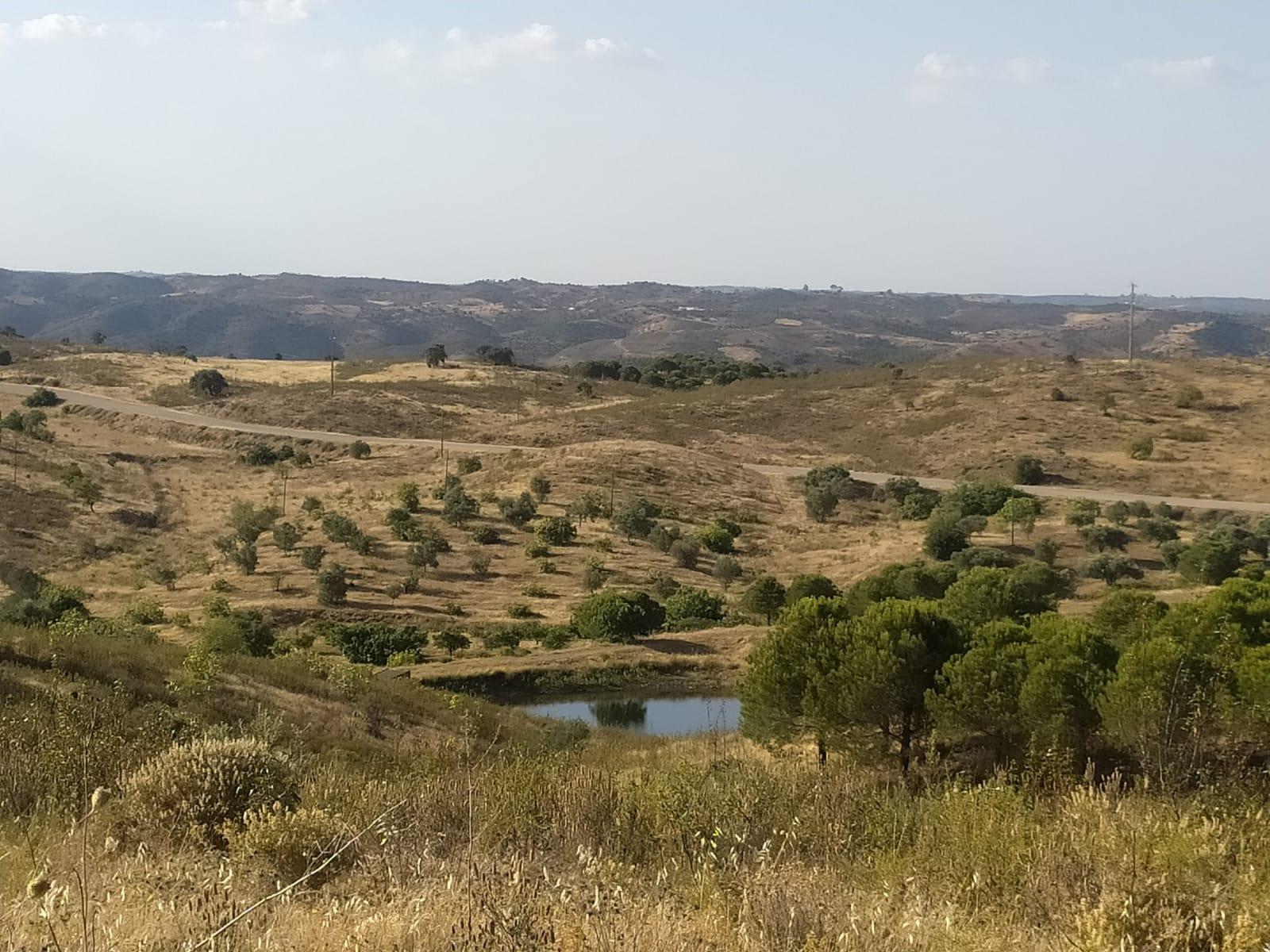 TERRENO RUSTICO COM 104440 m² E BARRAGEM