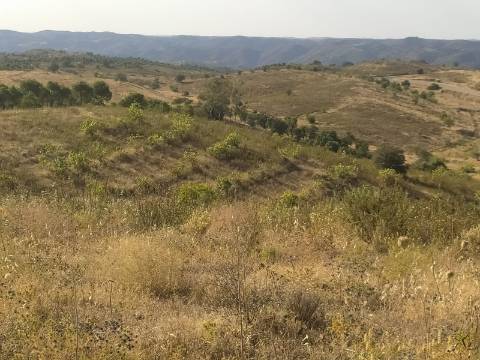 TERRENO RUSTICO COM 104440 m² E BARRAGEM